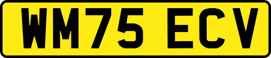 WM75ECV