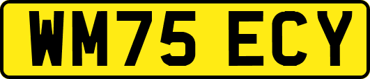 WM75ECY