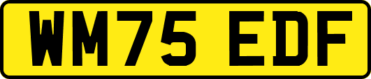 WM75EDF
