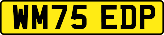 WM75EDP