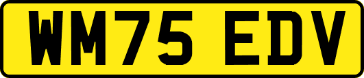 WM75EDV