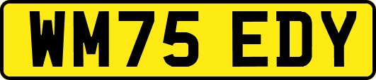 WM75EDY