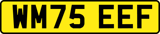 WM75EEF