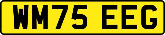 WM75EEG