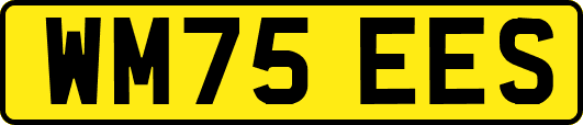 WM75EES