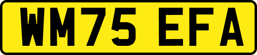 WM75EFA