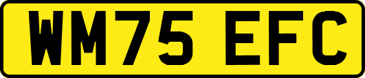 WM75EFC