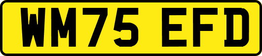WM75EFD