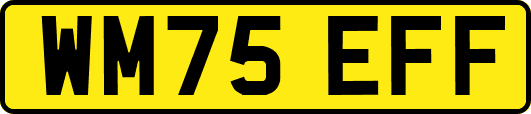WM75EFF