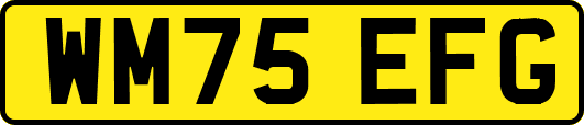 WM75EFG