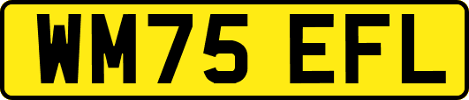 WM75EFL