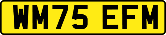 WM75EFM