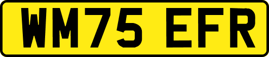 WM75EFR