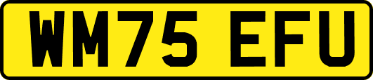 WM75EFU
