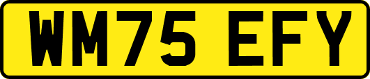 WM75EFY