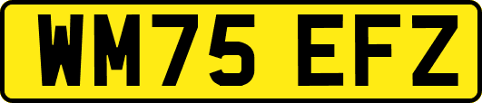 WM75EFZ