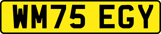 WM75EGY