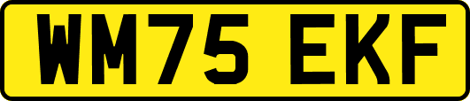 WM75EKF