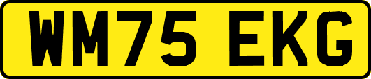 WM75EKG