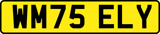 WM75ELY