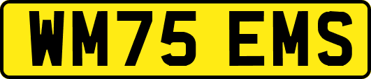 WM75EMS