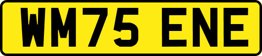 WM75ENE