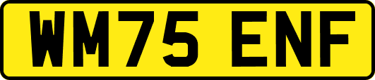 WM75ENF