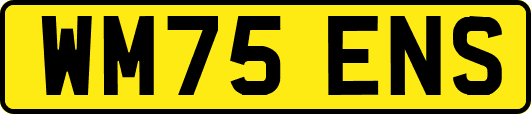 WM75ENS