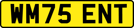 WM75ENT