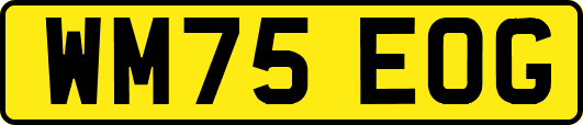 WM75EOG