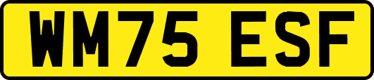 WM75ESF