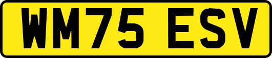 WM75ESV