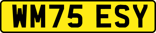 WM75ESY