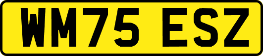WM75ESZ