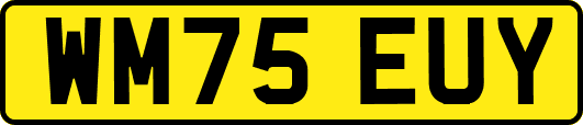 WM75EUY