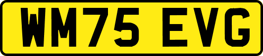 WM75EVG