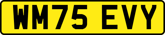 WM75EVY