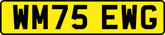 WM75EWG
