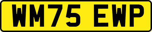 WM75EWP
