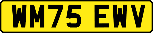 WM75EWV