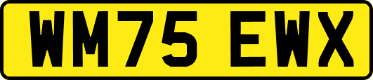 WM75EWX