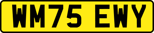 WM75EWY
