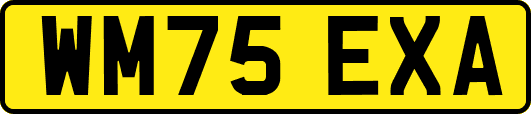 WM75EXA