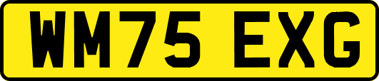 WM75EXG