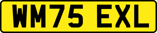 WM75EXL