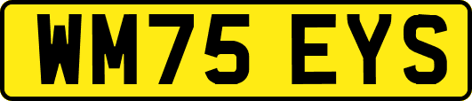 WM75EYS