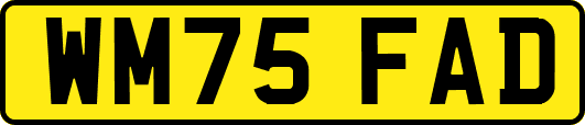 WM75FAD