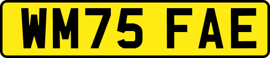 WM75FAE