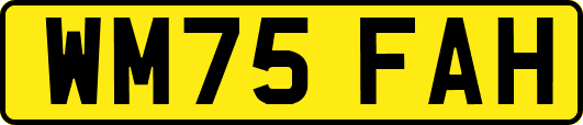 WM75FAH