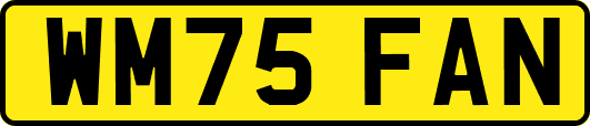 WM75FAN